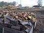 Taree-RoyCrossTimber 030